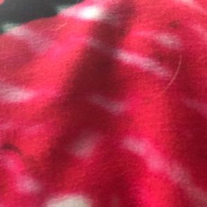 Meet your Posher, Patzito